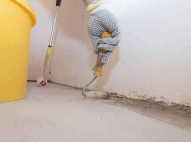 Best Fumigation Services  in Coal Fork, WV